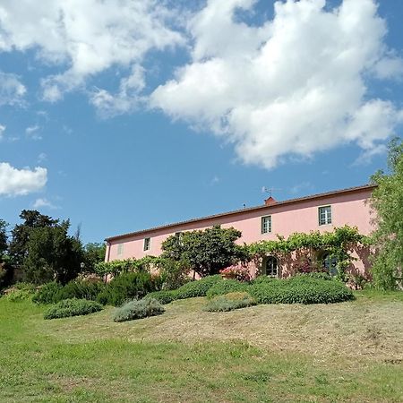 Agriturismo Podere Gianmaria Castiglioncello Eksteriør bilde