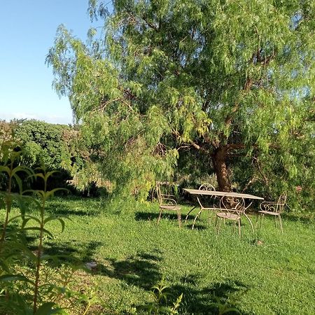 Agriturismo Podere Gianmaria Castiglioncello Eksteriør bilde