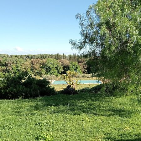 Agriturismo Podere Gianmaria Castiglioncello Eksteriør bilde
