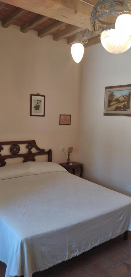 Agriturismo Podere Gianmaria Castiglioncello Eksteriør bilde