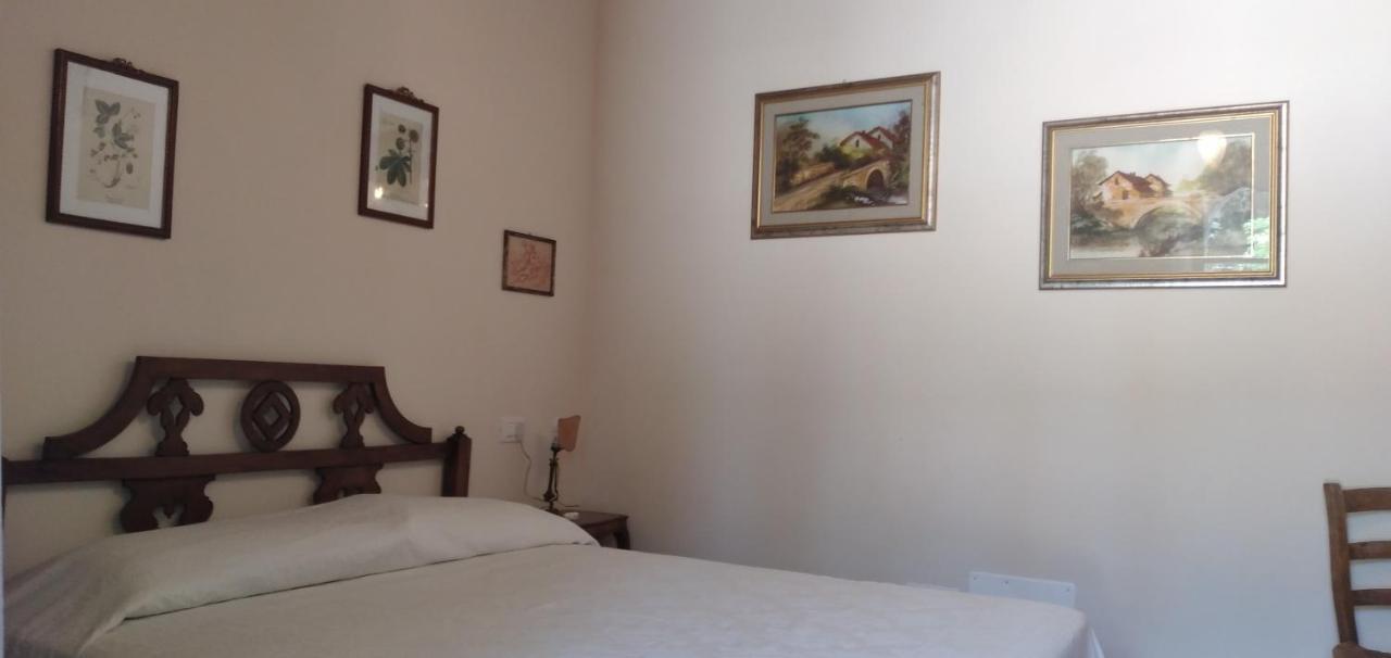Agriturismo Podere Gianmaria Castiglioncello Eksteriør bilde