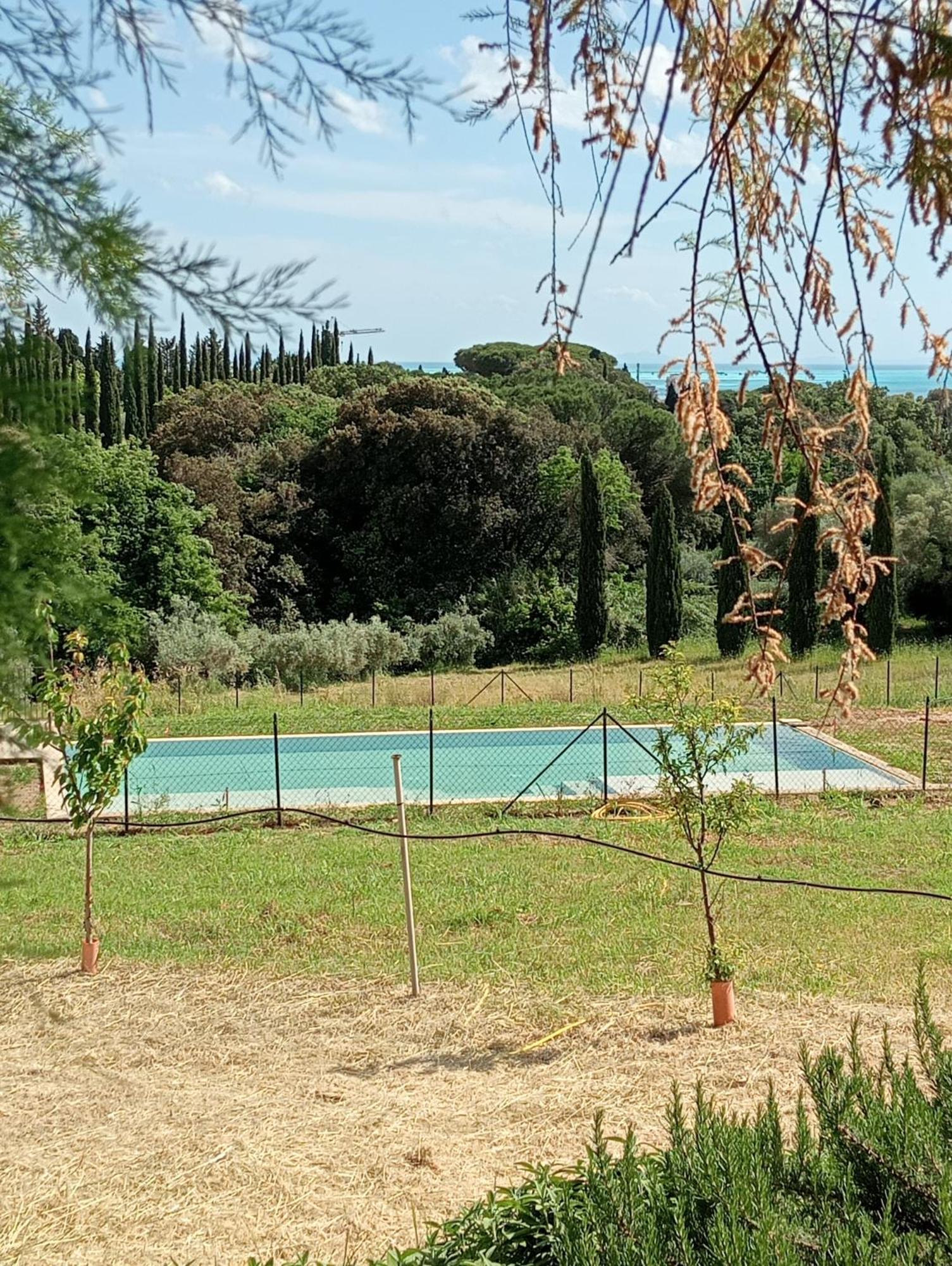 Agriturismo Podere Gianmaria Castiglioncello Eksteriør bilde