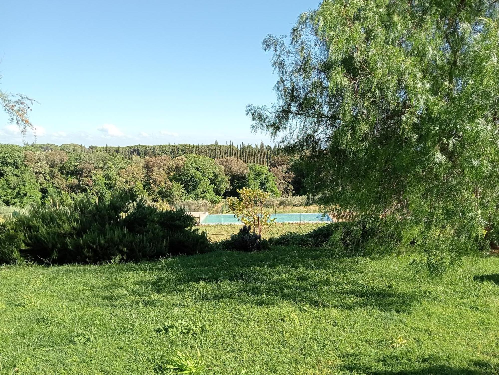 Agriturismo Podere Gianmaria Castiglioncello Eksteriør bilde