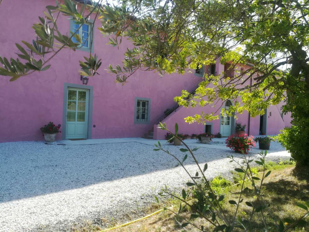 Agriturismo Podere Gianmaria Castiglioncello Eksteriør bilde