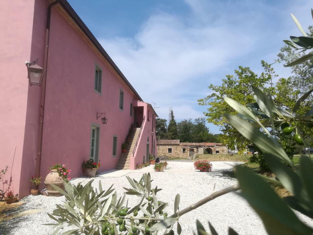 Agriturismo Podere Gianmaria Castiglioncello Eksteriør bilde