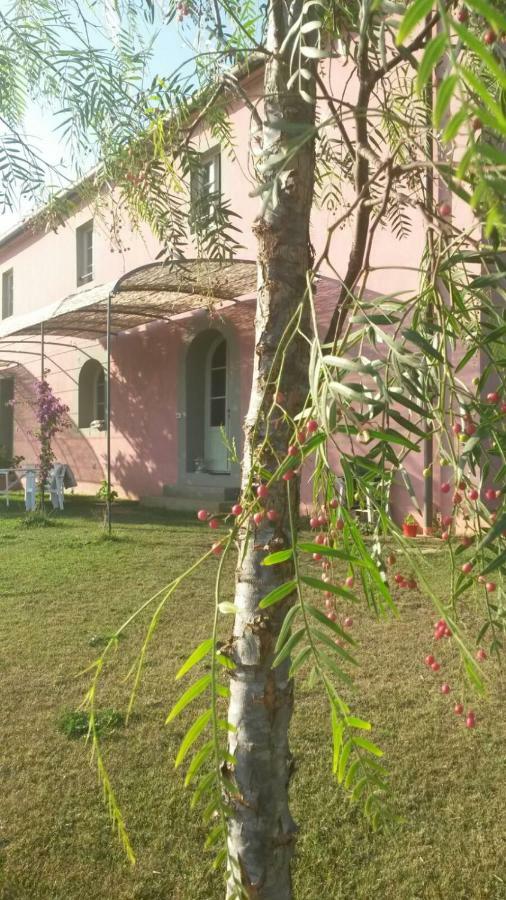 Agriturismo Podere Gianmaria Castiglioncello Eksteriør bilde